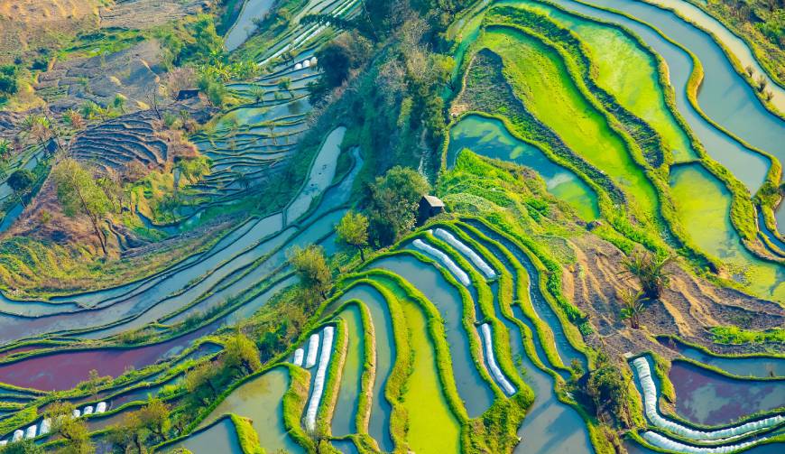 宝妈必备神器：望奎县产品视频拍摄轻松育儿好帮手