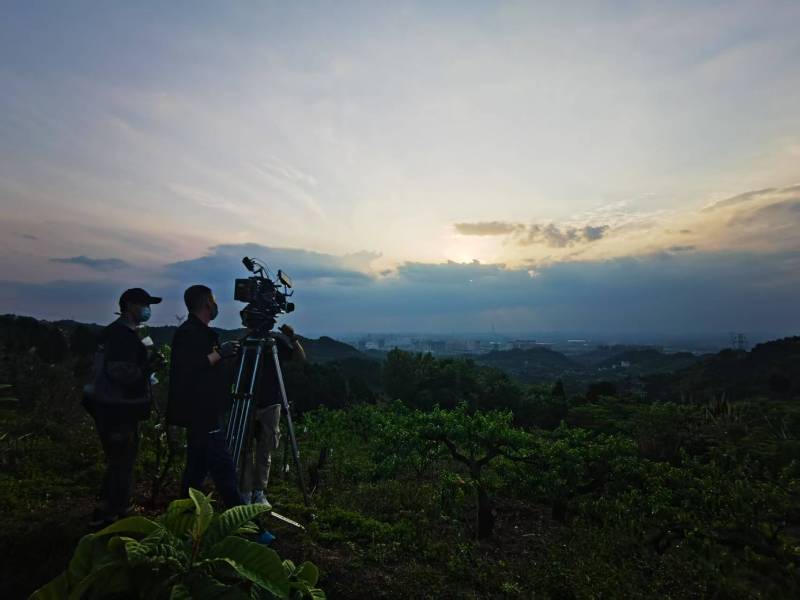 聚焦望奎县产品宣传视频拍摄公司，用专业实力铸就品牌传播传奇